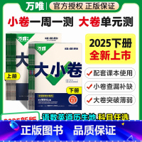 7本全套:[语数英政史地生] 人教版(其他版本联系客服) 七年级下 [正版]2025万唯大小卷七年级上册下册语文数学英语