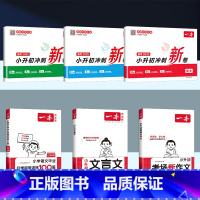 [全6册]冲刺新卷语数英+阅读/文言文/作文 小学升初中 [正版]2025小升初冲刺新卷语文数学英语人教版小升初真题卷六