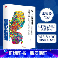 当下的力量 [正版]当下的力量新版白金版硬皮精装埃克哈特·托利著张德芬活在当下自我实现成功励志读物心灵大师经典之作书