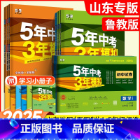 ------------▹▹⭐5.3同步练习⭐◃◃------------ 七年级上 [正版]山东五四学制2025/24