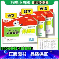 [划算❤3本]语数英(分类卷) 小学升初中 [正版]2025新版万唯小白鸥星空小升初分类卷真题卷人教版语文数学思维训练英
