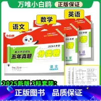 [划算❤3本]语数英(分类卷) 小学升初中 [正版]2025新版万唯小白鸥星空小升初分类卷真题卷人教版语文数学思维训练英