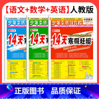 [3本套装]语文+数学+英语 人教版 小学升初中 [正版]2025新版14天寒假赶超少年素质教育报小学生一二三四五六年级