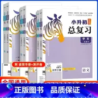 [2025新版]小升初总复习 语数英.3本 小学升初中 [正版]2025小升初名师帮你总复习语文数学英语科学小学六年级小