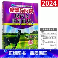 语文 小学六年级 [正版]2024六年级小学生语文现代文课外阅读每日一练新黑色马第十次修订 小学6年级上册下册课外拓展阅