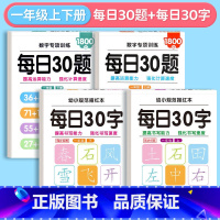 [每日30字+每日30题]一年级上下册 [正版]一年级二年级字帖下册上册每日30字练字帖小学生每日一练三年级四五六同步练