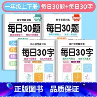 [每日30字+每日30题]一年级上下册 [正版]一年级二年级字帖下册上册每日30字练字帖小学生每日一练三年级四五六同步练