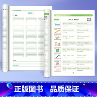 三年级[PEP版]+听写默写本 [正版]三年级衡水体英语字帖上册下册四五人教版同步练字帖小学生英文字母书写练习单词钢笔六