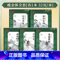 [系统5本]瘦金体速成全套 [正版]瘦金体字帖硬笔练字入门教程控笔描红字帖成人练字初学者套装宋徽宗古味书法常用3000字