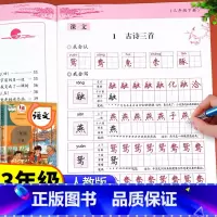 [全套5册]包含以上全部(推荐购买) 一年级下 [正版]老师三年级下册语文同步字帖 人教版练字帖 3年级下 小学生三下