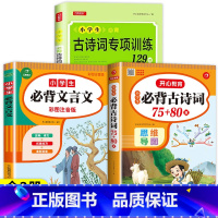 [特惠3册]古诗词75+80首+配套训练+文言文 小学通用 [正版]老师小学生必背古诗词75十80 完整版 小学一到六年