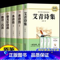 [全5册]已上全部 [正版]艾青诗选和水浒传 原著完整版九年级阅读名著配套语文人教版初中生9上册初三学生课外书无删减世说