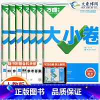 [人教版全套7本]九年级全一册 九年级/初中三年级 [正版]2025版万唯大小卷九年级全一册上册下册语文数学英语物理化学
