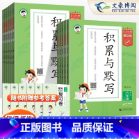 积累与默写 一年级上 [正版]2025新版53小学基础练积累与默写一年级二年级三年级四年级五六年级上册下册专项训练看拼音