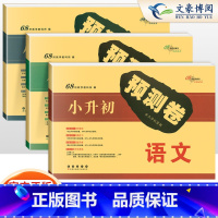 小升初语文+数学+英语3本 小学升初中 [正版]2024秋新小升初真题卷重点学校名校密题小升初预测卷押题卷语文数学英语全