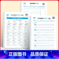 [三本套]3年级上·练习纸+默写纸+听写纸 [正版]三年级上册英语练字帖人教版单词描红楷体临摹小学生练习纸四五六年级 艾