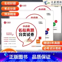[全3册]小升初名校真题语数英 小学升初中 [正版]小升初名校真题卷分类试卷 语文数学英语小升初真题卷五六年级人教版期末