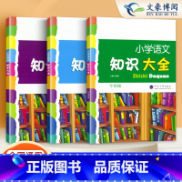 语文知识大全(全国通用版) 小学通用 [正版]经纶小升初语文数学英语知识大全全国通用人教版小学生一二三四五六年级资料包大