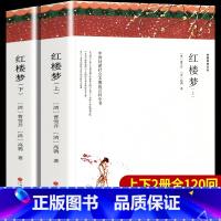 红楼梦(上/下册)120回 完整版 [正版]上下2册 带注释导读红楼梦原著完整版无删减 四大名著之一 高中阅读初中生小学