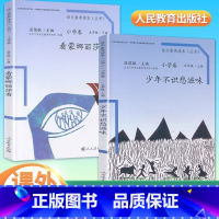 [五年级]少年不识愁滋味+看蒙娜丽莎看(2册) 小学五年级 [正版]语文素养读本丛书小学卷 五年级 上册+下册 全2本少