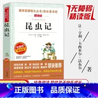 昆虫记 [正版]同系列3本28元名师导读版 法布尔昆虫记初中生阅读书 八年级8-9-11-12岁五六七四年级中小学生版青