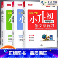 [小升初]总复习语+数+英3本 小学通用 [正版]新版名校冲刺小升初必刷题真题卷系统总复习语文数学英语小升初名师帮你总复