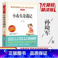 小布头奇遇记 [正版]同系列3本28元小布头奇遇记中国儿童文学世界名著青少年版 7-9-12岁三四五六七年级中小学生课外