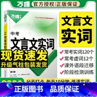 文言文实词 初中通用 [正版]2024新文言文实词迁移训练书 常用古汉语初中文言文词典中考语文复习资料七八九年级文言文实