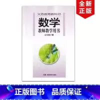 [正版]2024适用湘教版初中九年级下册数学教师教学用书湘教版初三九年级下册数学教参湖南教育湘教版9年级下册数学教