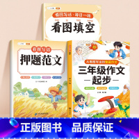 [拔高训练]押题范文 +看图填空+三年级作文起步 小学一年级 [正版]看图写话押题范文一年级二年级看图填空专项训练注音版