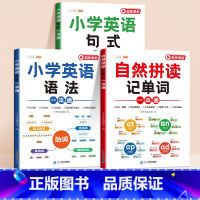 [全3册]单词+语法+句式一本通 小学通用 [正版]小学英语句式一本通英语句型句式语法阅读积累专项训练小学生一二三四五六