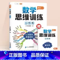 [视频讲解]数学思维训练 小学二年级 [正版]二年级数学思维训练题奥数举一反三上册数学练习题小学口算天天练计算应用题启蒙