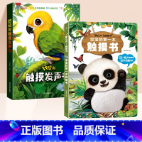 [全2册]宝宝的第一本触摸书+触摸发声书 [正版]宝宝的第一本触摸书婴儿早教0到3岁绘本1—2岁幼儿玩具立体书撕不烂那么