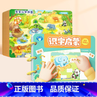 [全9册]识字启蒙游戏书+识字拼图 [正版]幼儿识字启蒙撕拉书儿童3—6岁认字游戏书撕不烂早教魔术贴象形看图认字卡片手粘