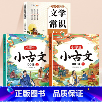 [古文学习]必背文学常识+小古文100课 小学通用 [正版]小学必背文学常识积累大全2024小学生语文基础知识一三二四五