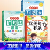 [素材积累全3本]晨读+优美句子积累 [正版]扩句法每日晨读小学语文五感法看图写话写作文 一二三年级写作练习早读晚诵好词