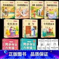 [9本]六上课外书+六下课外书+同步作文上下册 [正版]童年六年级必读课外书爱的教育小英雄雨来六年级上册必读课外书童年高
