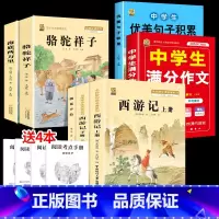 海底两万里+骆驼祥子+朝花夕拾+西游记+优美句子+满分作文 初中通用 [正版]优美句子积累大全初中作文写作技巧素材积累中