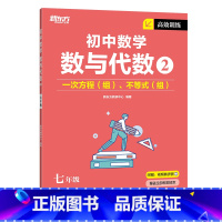 数与代数2 七年级 初中通用 [正版]高效训练初中数学 七年级八年级九年级中考数学刷题同步代数几何统计辅导资料中考提分