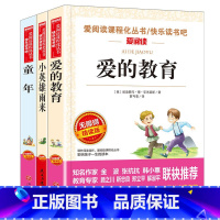 [六年级上册必读]小英雄雨来+童年+爱的教育 [正版]快乐读书吧小学生六年级上下册必读课外阅读书童年爱的教育小英雄雨来原