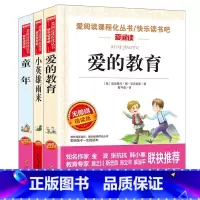 [六年级上册必读]小英雄雨来+童年+爱的教育 [正版]快乐读书吧小学生六年级上下册必读课外阅读书童年爱的教育小英雄雨来原