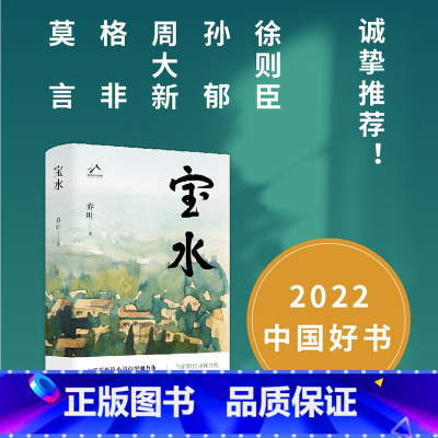 宝水 [正版]宝水 乔叶 茅盾文学奖2022中国好书莫言格非十月文艺图雪山大地千里江山图乡土中国读懂故乡 中国当代文学