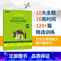 语文 [正版]恋练有题 初中课外文言文阅读训练120篇 九年级 中学教辅资料 中考语文 文言文专项训练 初三9年