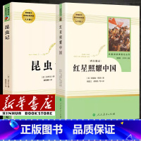 [八年级上册]套装共2本 [正版]人教版初中七年级上册下册八年级上册下册九年级上下册初中课外阅读书籍骆驼祥子海底两万里经