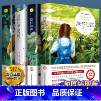 全套4册儿童文学经典作品 [正版]绿野仙踪原著小学生三四五年级课外书籍青少年无障碍阅读