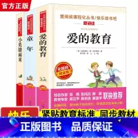 快乐读书吧六下阅读[全4册] [正版]全3册六年级上册阅读课外书小英雄雨来童年书爱的教育 快乐读书吧阅读书目