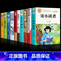 [10册]经典文学名著大全套 [正版]寄小读者 冰心儿童文学全集小学老师 北京教育出版社原著阅读经典 再寄小读者三寄小读