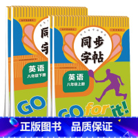 [上册+下册]英语练字帖 七年级/初中一年级 [正版]七年级八年级上下册同步字帖英语人教版初中生字帖钢笔临