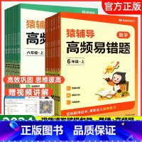 高频易错题+高频附加题 一年级上 [正版]2024版高频附加题小学数学一二三四五六年级上下册数学思维训练专项提升学母题讲