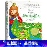 银顶针的夏天 [正版]银顶针的夏天书 国际大奖儿童文学美绘典藏版 9-10-12岁